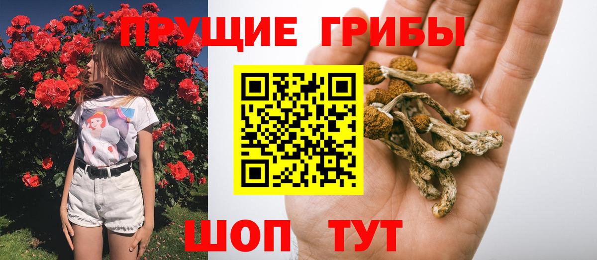 Псилоцибиновые грибы Cubensis  Вход с VPN  где можно купить наркотик  Галлюциногенные грибы Psilocybine cubensis  Рузаевка 
