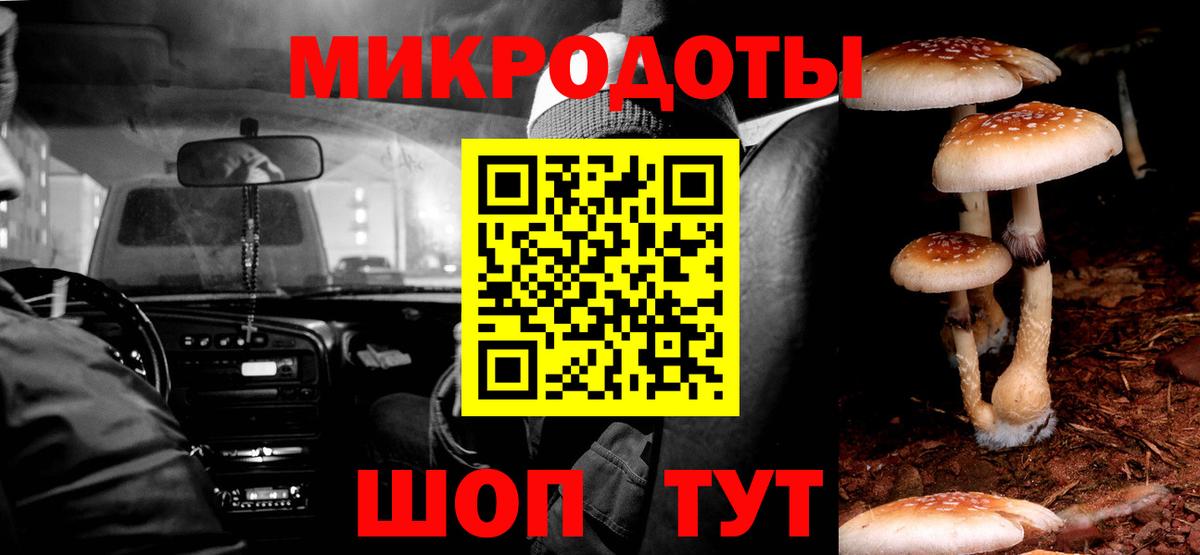 Галлюциногенные грибы Psilocybine cubensis Рузаевка